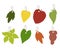 Leaf silhouette tag collection. Price, discount, ticket, advertising sticker set
