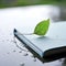 A leaf sits on top of a book with water droplets, AI