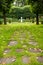 Leaf strewn path at a military cemetery in Belgium