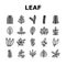 Leaf Of Tree, Bush Or Flower Icons Set Vector
