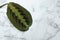 Leaf of tropical maranta plant on marble background, top view