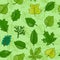 Leaf vector green leaves of trees leafed oak and leafy maple or leafing foliage illustration of leafage in spring set