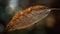 Leaf vein pattern on dry autumn plant generated by AI