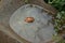 LEAF ON WATER IN A MILLSTONE BIRD BATH