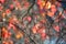 Leafless bush branches against defocused autumn colored leaves