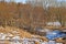 Leafless forest trees with melting snow in early spring. Seasonal landscape of slow regrowth in the woods after winter