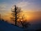 The leafless tree against dusky sunset