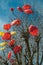 Leafless tree with decorative umbrellas