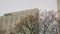 Leafless tree with thin building and cloudy sky as background