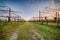 Leafless vineyards