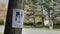 A leaflet with information about a missing puppy hangs on a pole near the road in the suburbs of the United States