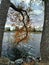 Leafy autumn foliage by the lake on a stormy November day walk