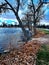 Leafy autumn foliage  by the lake on a stormy November day walk