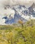 Leafy Forest against Snowy Mountains Patagonia Argentina