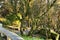 Leafy forest with colossal rock formations in Sanctuary of Penha in Guimaraes