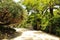 Leafy and green gardens in the Botanical Garden of Lisbon