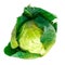 Leafy green goodness. High angle shot of a head of green cabbage.