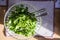 Leafy green salad in a healthy diet concept