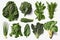 Leafy green vegetables, high resolution. Isolate on white background.