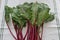 Leafy greens. Fresh, young beetroot leaves at the table.