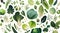 Leafy greens template background, isolated herbs and vegetables