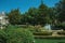 Leafy hedge and bushes in a wooden garden with fountain