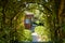 Leafy hedge gate and pathway to modern brick house