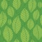 Leafy seamless background 8