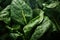 Leafy Spinach leaves. Generate Ai