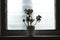 a leafy succulent plant decorating the lone window sill of a well decorated refreshing indoor space, backilit by the bathroom