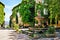 Leafy town square with fountain, Provence, France