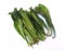 Leafy vegetable - sawtooth coriander or culantro. Scientific name - Eryngium foetidum.