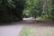 Leafy, winding walk in a wooded park with tall trees