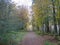 Leafy woodland track leads into the distant trees