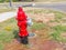 Leaky Fire Hydrant Valve or Cap and Wrench