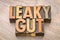 Leaky gut word abstract in wood type