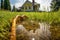 leaky hose creating a small puddle in the grass