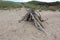 A lean-to built of driftwood sticks in the sand on Inverness beach on Cape Breton Island