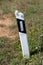 Leaning black and white plastic roadside pole with reflective patch covered on top with small white snails