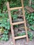 Leaning Garden ladder plants rocks stone