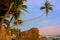 Leaning palm tree with big rocks, Unawatuna beach, Sri Lanka