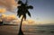Leaning palm tree at Las Terrenas beach at sunset, Samana peninsula