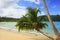 Leaning palm tree at Rincon beach, Samana peninsula