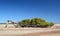 The leaning tree. Greenough. Geraldton. Coral Coast. Western Australia