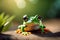 Leap of Faith: Frog\\\'s Graceful Jump