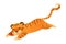 Leaping tiger wild jungle predator animal cartoon vector illustration