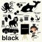 Learn black color, Educate color and vocabulary set, Illustration of primary colors, Vector illustration