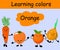 Learn colors. Orange color. Persimmons, orange, carrots, onions. Baby training