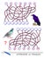 Learn French. Logic puzzle game with cute birds for study French language. Find correct places for letters, write them.