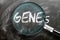 Learn, study and inspect genes - pictured as a magnifying glass enlarging word genes, symbolizes researching, exploring and